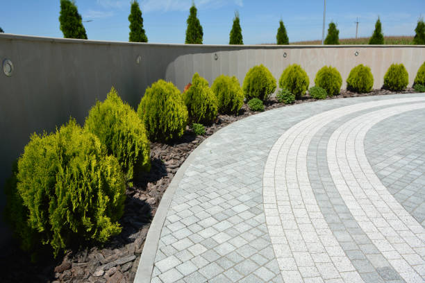 Best Residential Driveway Paver Services  in Apex, NC